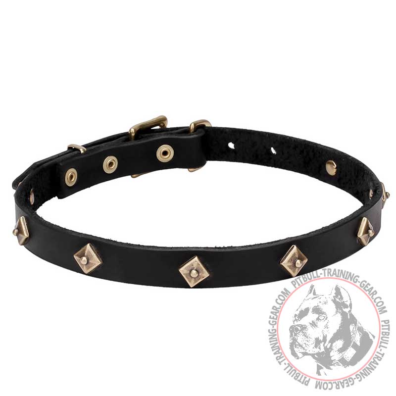 Rhombic Design Pit Bull Leather Dog Collar
