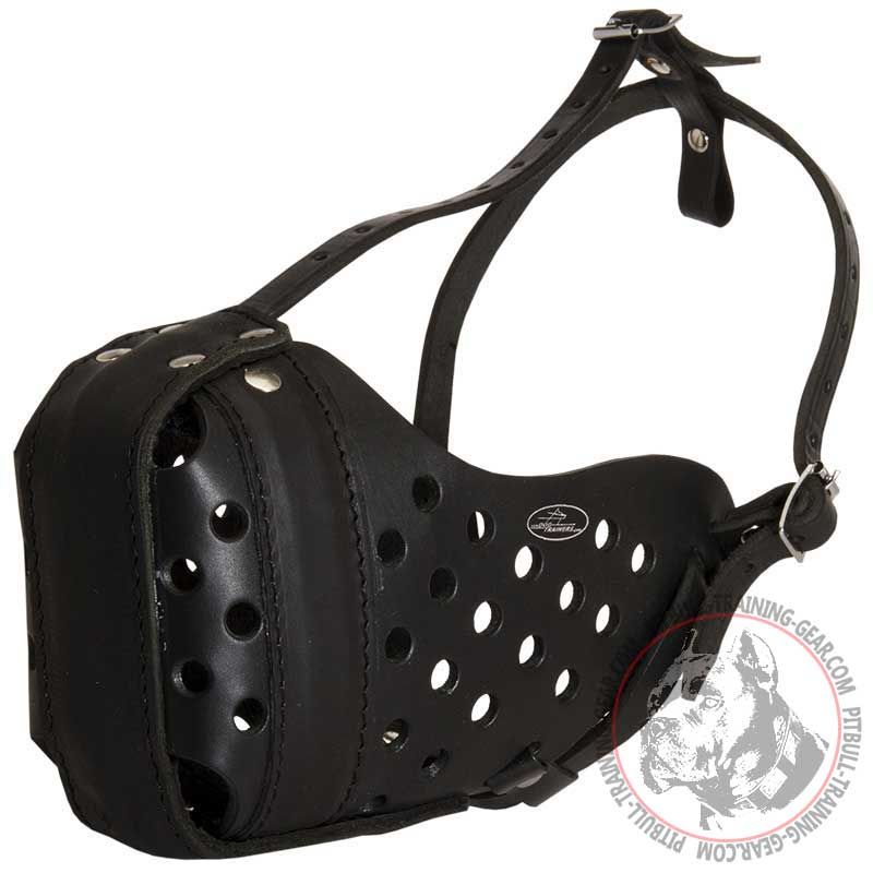 Agitation Training Leather Pit Bull Muzzle "Dondi"
