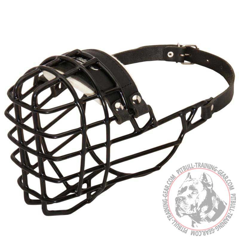 Winter Walking & Training Wire Basket Pitbull Muzzle with Padded Nose Area