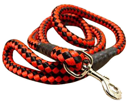 5 foot Round Nylon Leash With Brass Snap for Pitbull