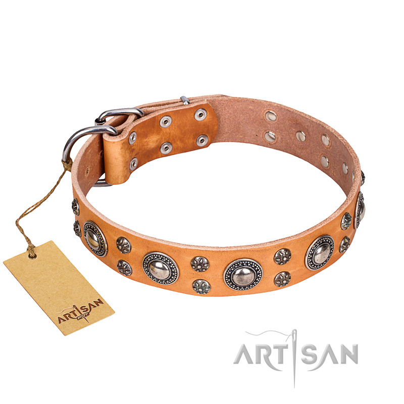 'Extra Sparkle' FDT Artisan Handcrafted Pitbull Tan Leather Dog Collar