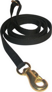 20 mm Training and Walking Nylon Pitbull Leash
