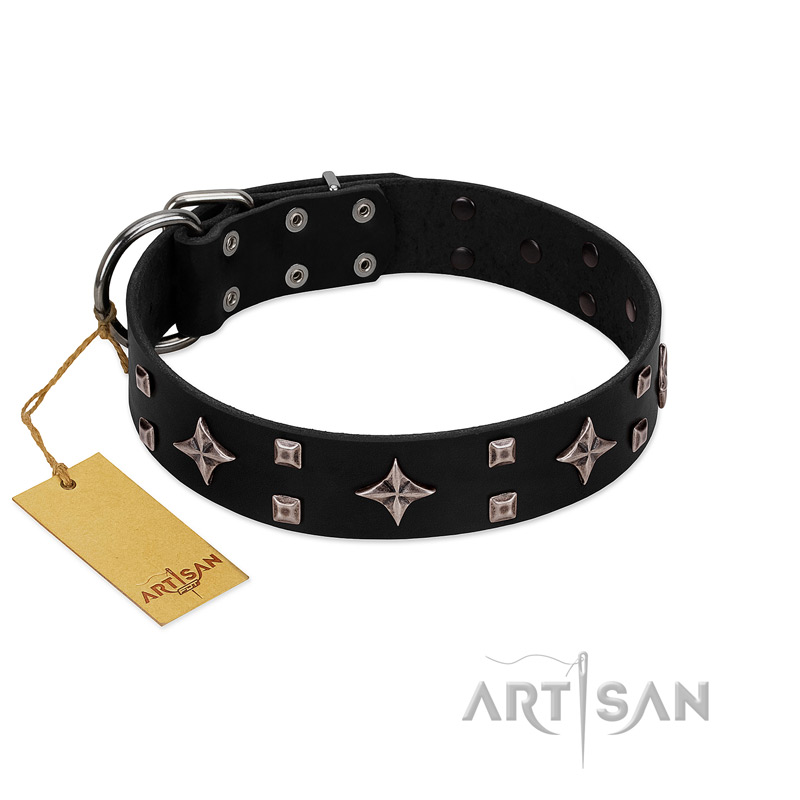 "Snappy Dresser" FDT Artisan Black Leather Pitbull Collar Adorned with Stars and Tiny Squares
