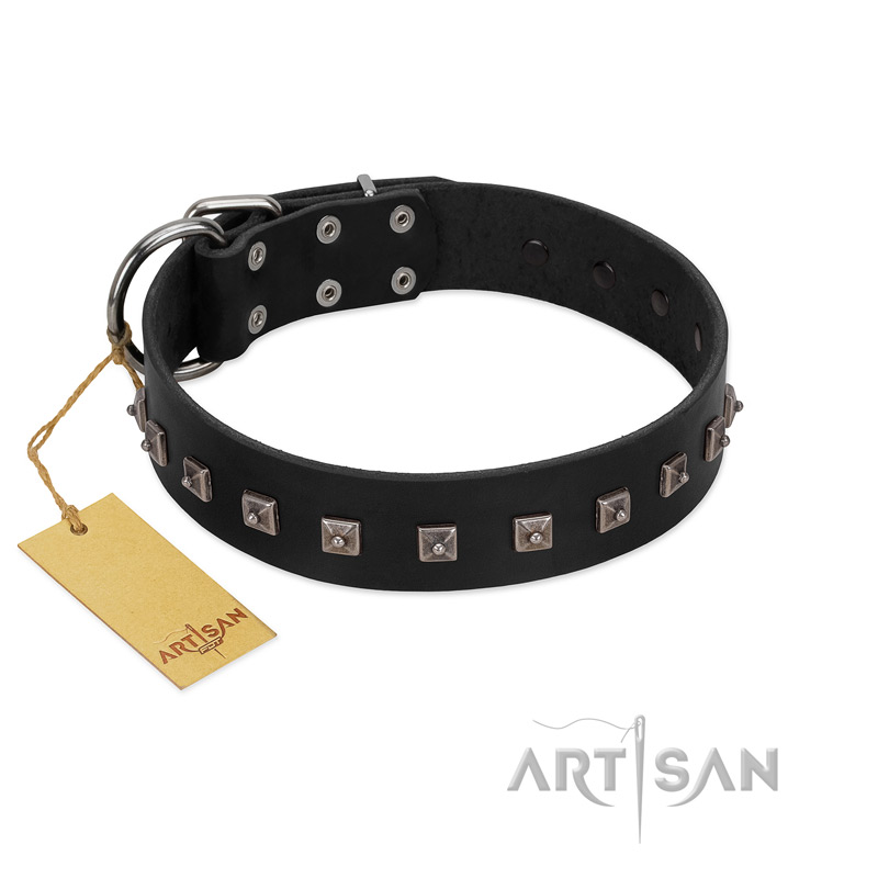 "Natural Beauty" Premium Quality FDT Artisan Black Designer Pitbull Collar with Dotted Studs