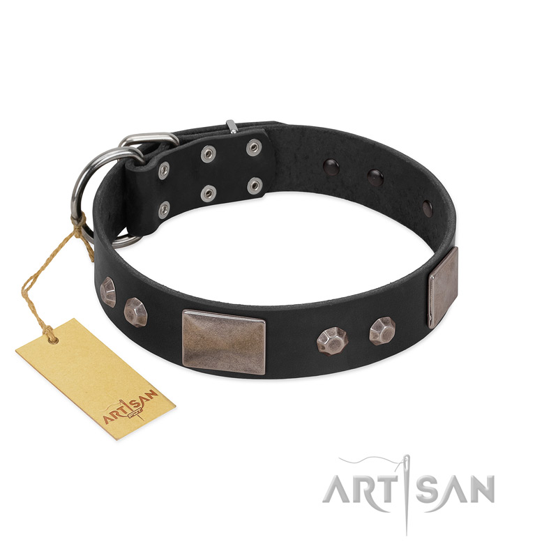 "Square Stars" Modern FDT Artisan Black Leather Pitbull Collar with Square Plates and Studs