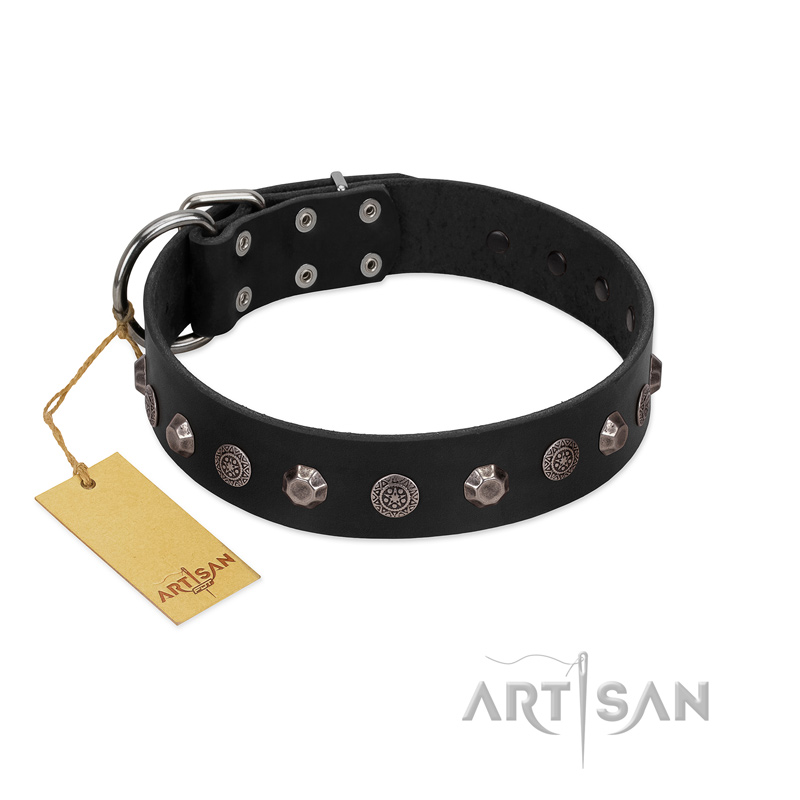 "Black Knight" Handmade FDT Artisan Black Leather Pitbull Collar with Silver-Like Studs
