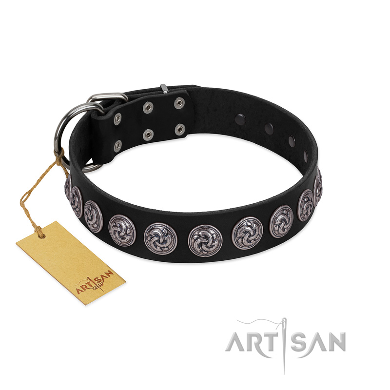 "Black Raven" Handmade FDT Artisan Black Leather Pitbull Collar with Silver-Like Adornments