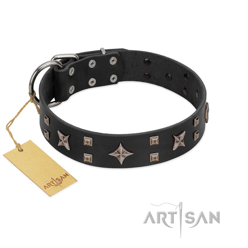"Star Excitement" Modern FDT Artisan Black Leather Pitbull Collar with Studs and Stars