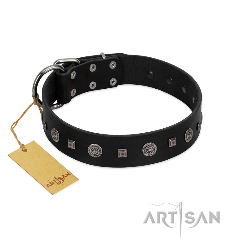 "Mr. Elegance" Designer FDT Artisan Black Leather Pitbull Collar with Silver-Like Studs