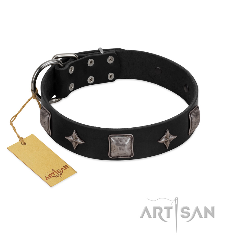 "Black Cavalier" Handmade FDT Artisan Black Leather Pitbull Collar with Silver-Like Stars and Large Plates