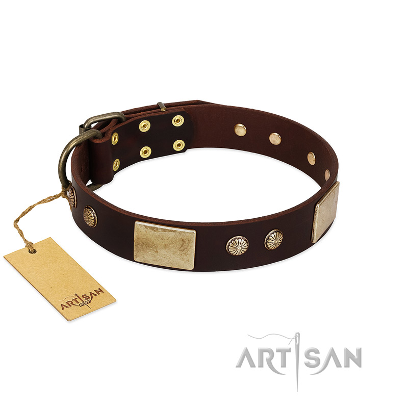 "Middle Age" FDT Artisan Brown Leather Pitbull Collar with Old Bronze-Plated Engraved Flowers and Large Plates