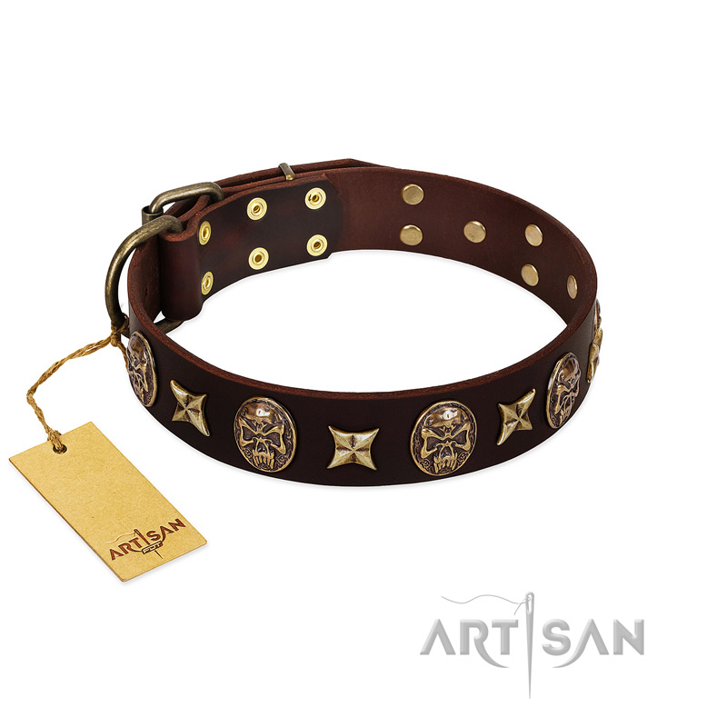 "Captain Hook" FDT Artisan Brown Leather Pitbull Collar with Stars and Skulls