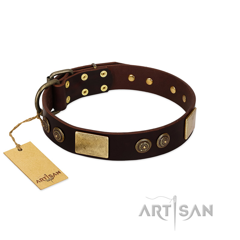 "Bow-Wow Effect" FDT Artisan Brown Leather Pitbull Collar with Plates and Ornate Studs
