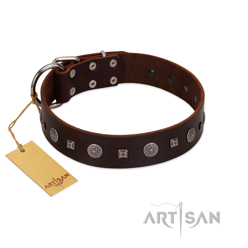 "Pure Sensation" Exclusive FDT Artisan Brown Leather Pitbull Collar with Fancy Brooches and Studs