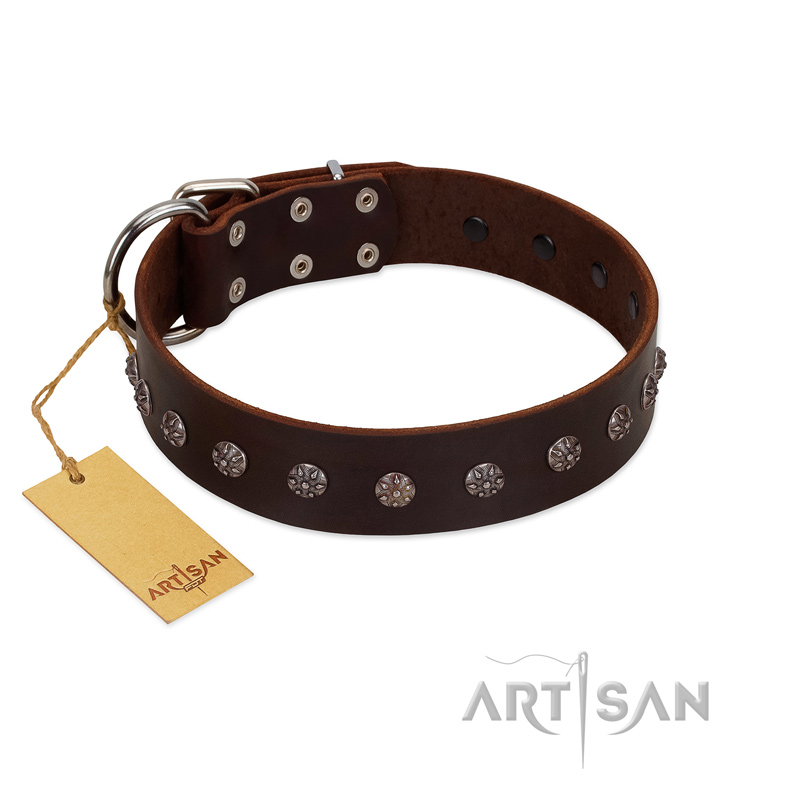 "Graceful Classic" Mod FDT Artisan Brown Leather Pitbull Collar