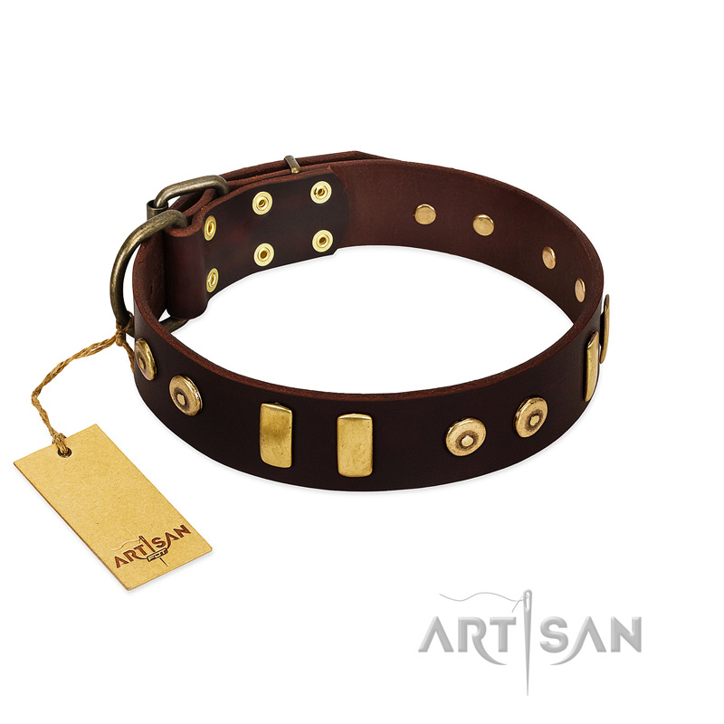 "Lord of Dogs" FDT Artisan Brown Leather Pitbull Collar with Old Bronze-like Dotted Studs and Tiles