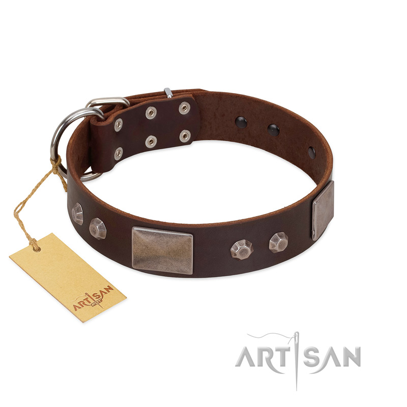 "Stone Stars" Stylish Handmade FDT Artisan Brown Leather Pitbull Collar