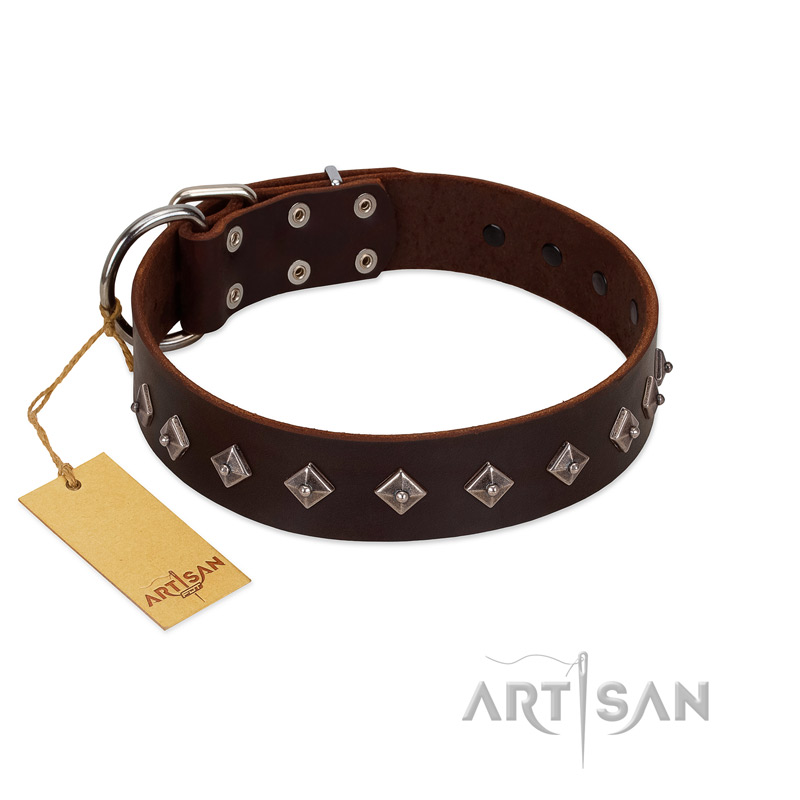 "Boundless Energy" Premium Quality FDT Artisan Brown Designer Leather Pitbull Collar with Small Pyramids