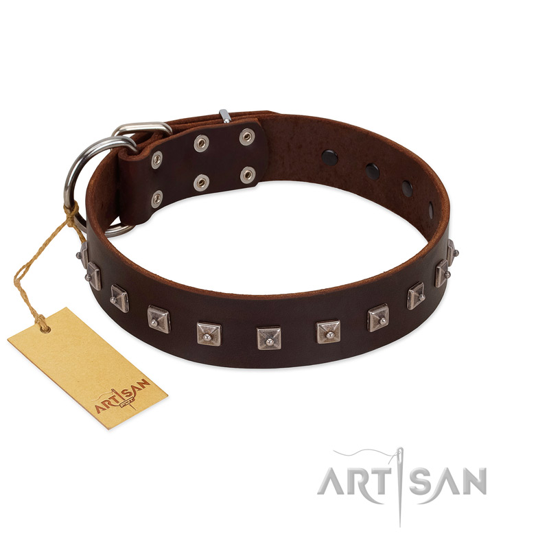 "Kingly Grace" FDT Artisan Brown Leather Pitbull Collar with Silver-like Dotted Studs
