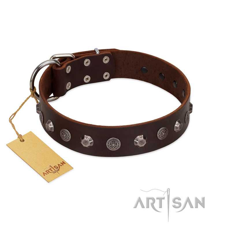 "Dark Chocolate" Handmade FDT Artisan Brown Leather Pitbull Collar with Studs