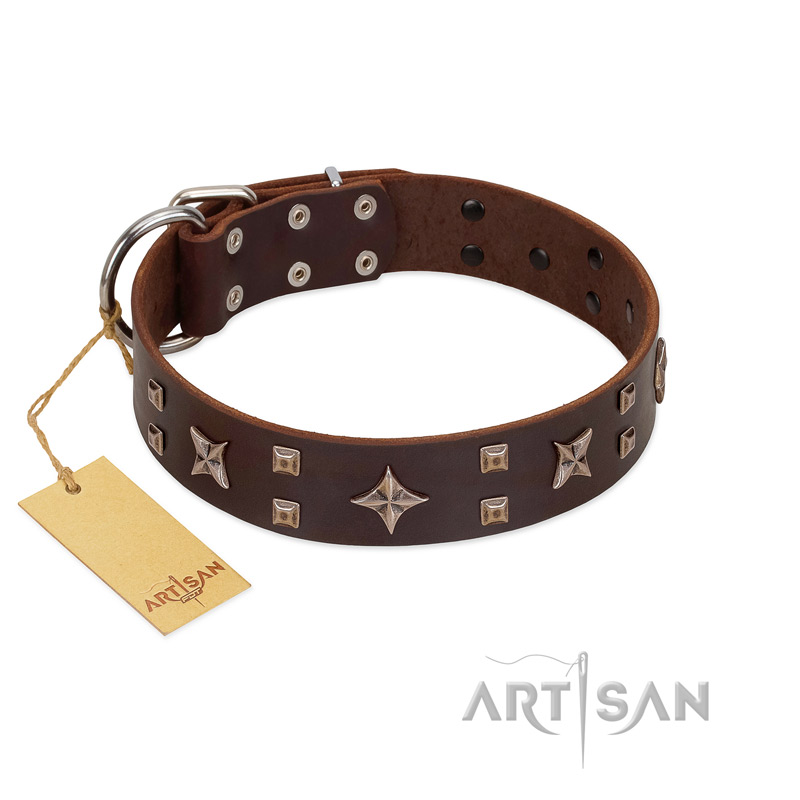 "Stars in Sands" Modern FDT Artisan Brown Leather Pitbull Collar with Studs and Stars
