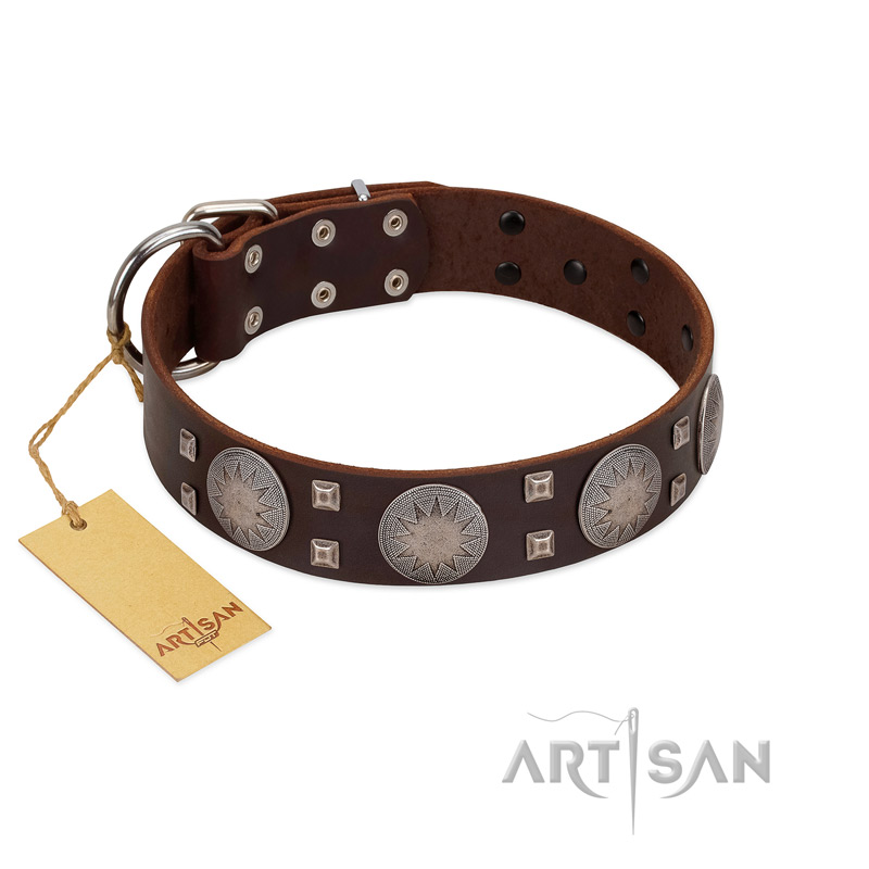"Sun in Barchans" Modern FDT Artisan Brown Leather Pitbull Collar with Engraved Stars on Round Plates and Studs