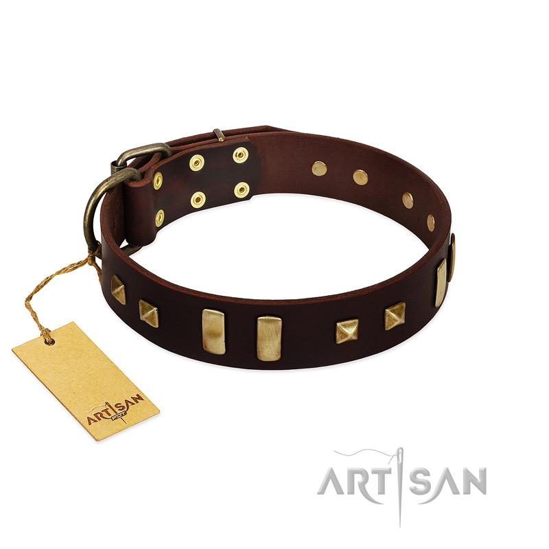 "Choco Delight" FDT Artisan Brown Leather Pitbull Collar with Old Bronze-like Plates and Studs