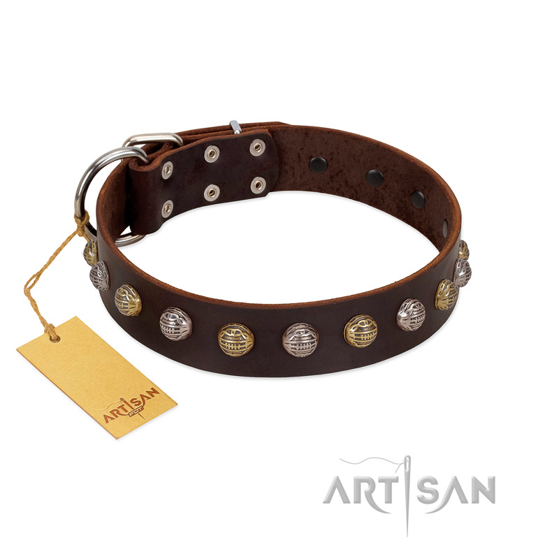 "Gape Buster" FDT Artisan Brown Leather Pitbull Collar with One Row of Studs