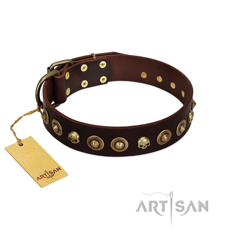 "Street Fashion" FDT Artisan Brown Leather Pitbull Collar Adorned with Circles and Skulls - Click Image to Close