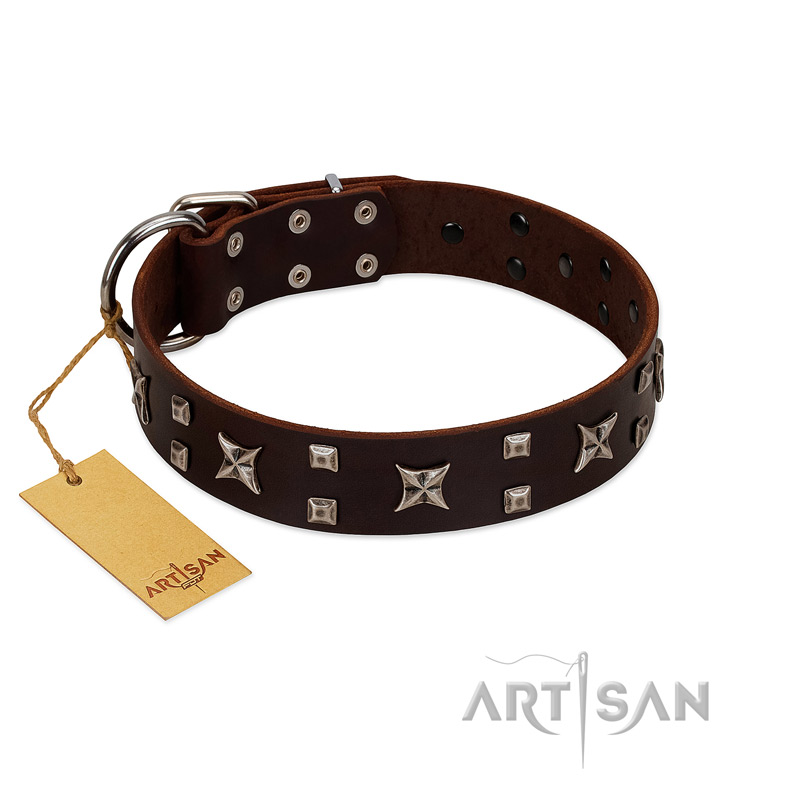 "Bigwig Woof" FDT Artisan Brown Leather Pitbull Collar with Chrome Plated Stars and Square Studs