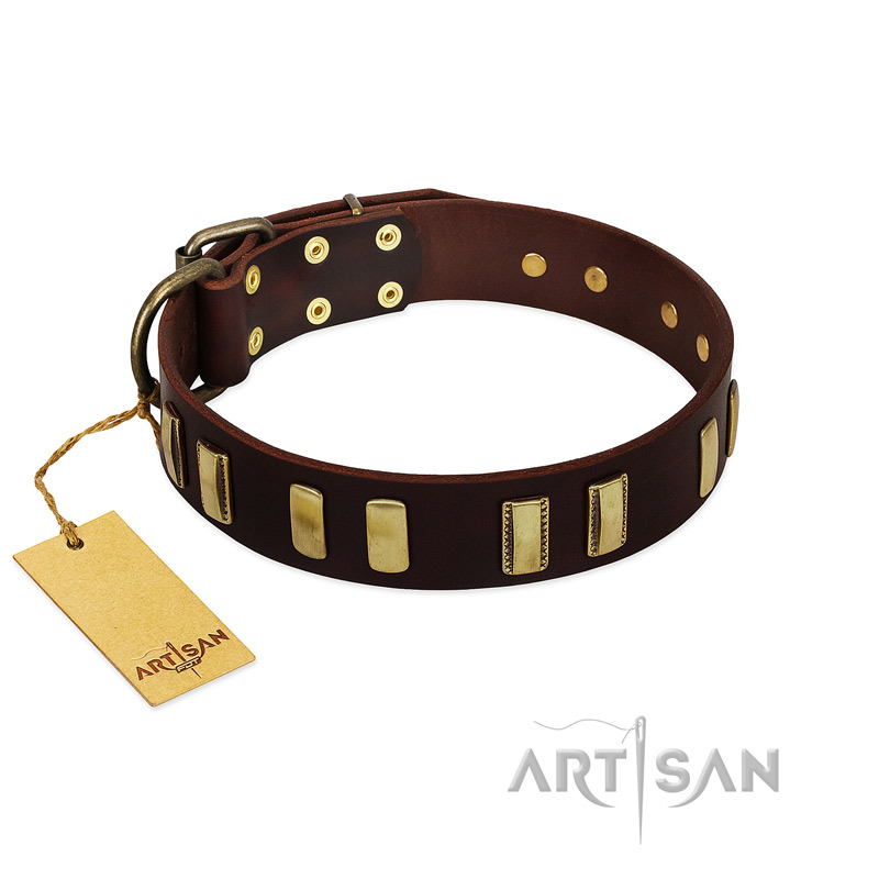 "Peace and Harmony" FDT Artisan Brown Leather Pitbull Collar with Plates - Click Image to Close