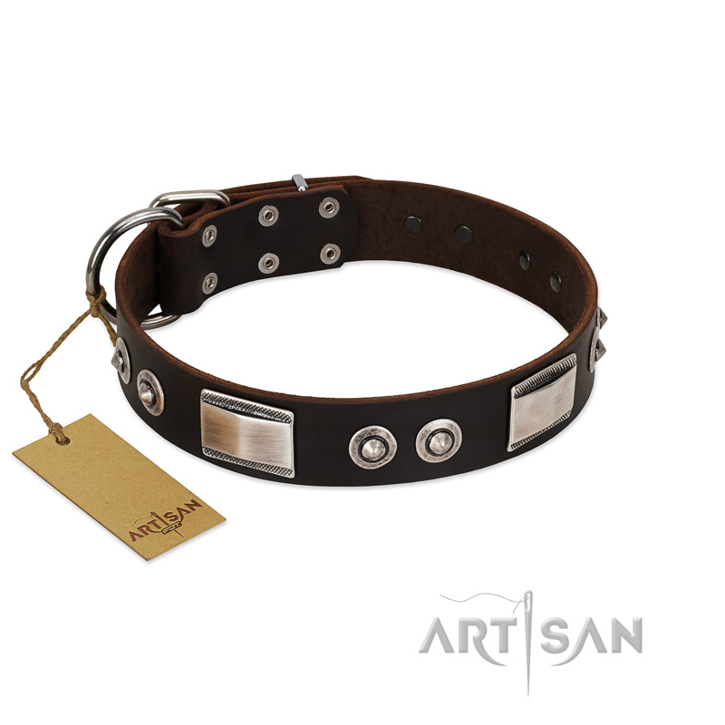 "Baller Status" FDT Artisan Brown Leather Pitbull Collar Adorned with a Set of Chrome Plated Studs and Plates
