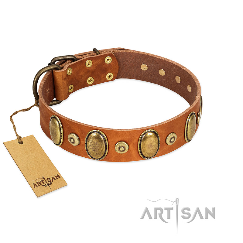 "Crystal Sand" FDT Artisan Tan Leather Pitbull Collar with Vintage Looking Oval and Round Studs