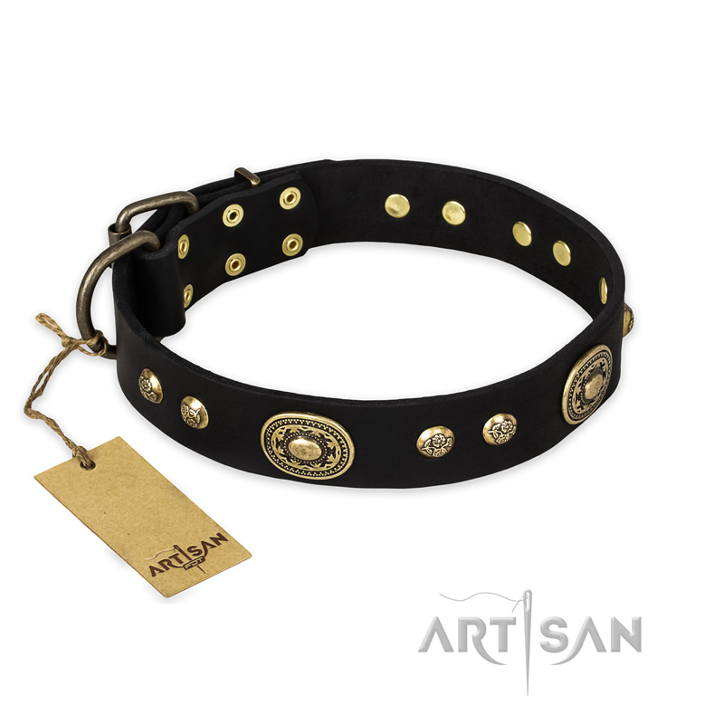 "High Fashion" FDT Artisan Studded with Plates Black Leather Pitbull Collar