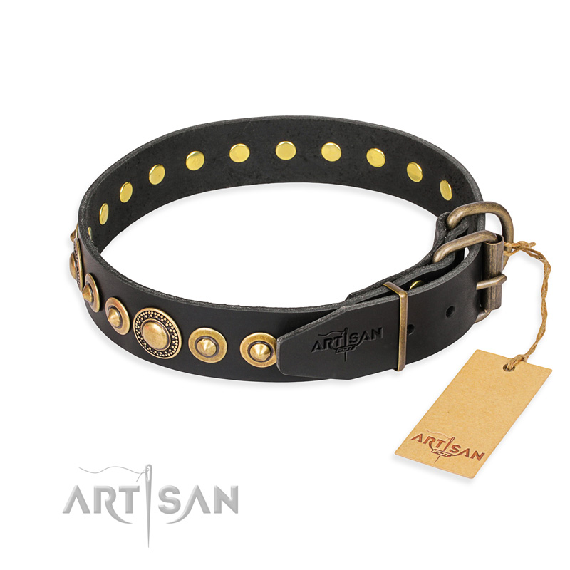 "Gold Mine" FDT Artisan Black Leather Pitbull Collar with Amazing Bronze-Plated Round Studs