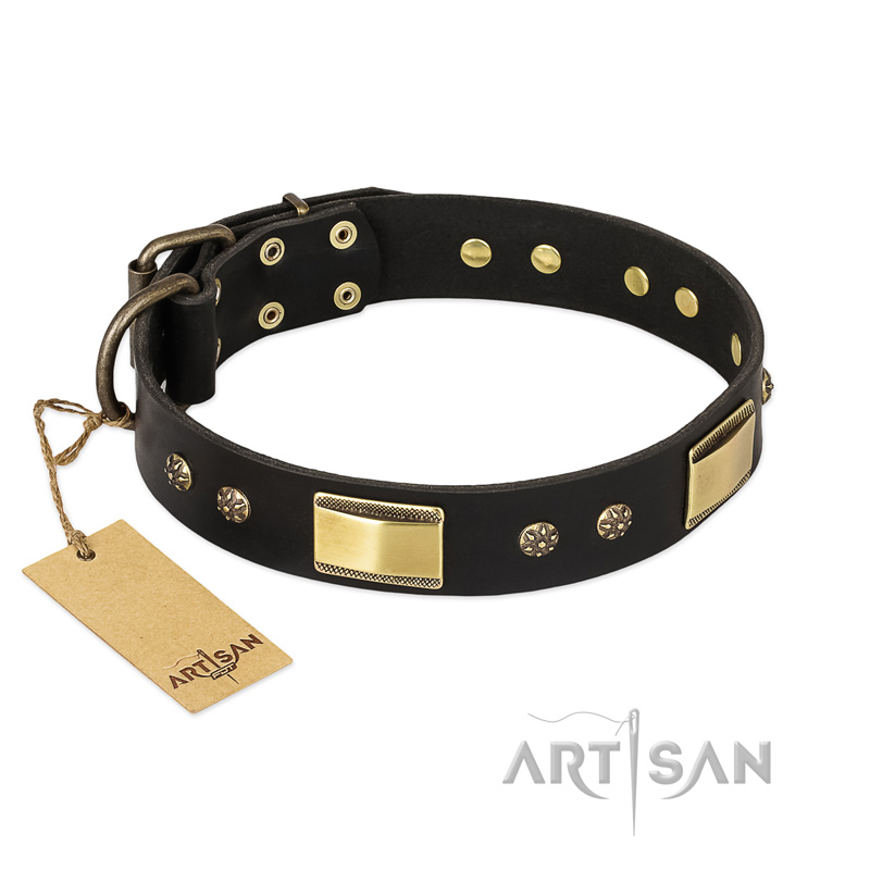"Black Sun" FDT Artisan Leather Pitbull Collar with Brass Plated Decorations