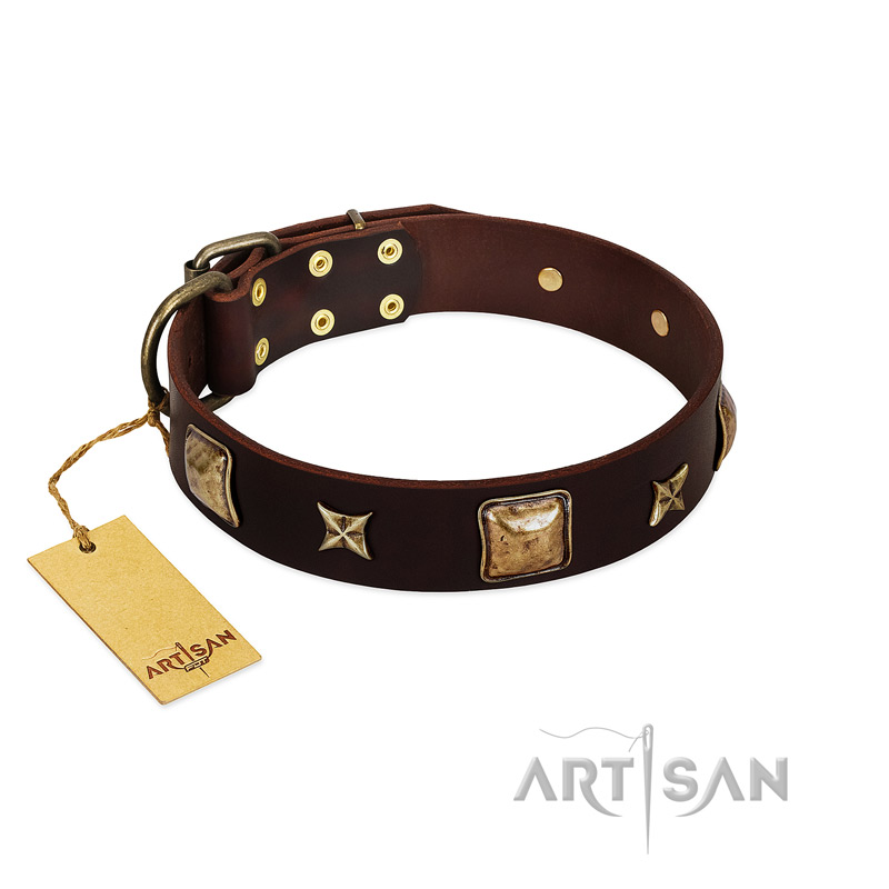 "Choco Dreams" FDT Artisan Brown Leather Pitbull Collar with Squares and Stars