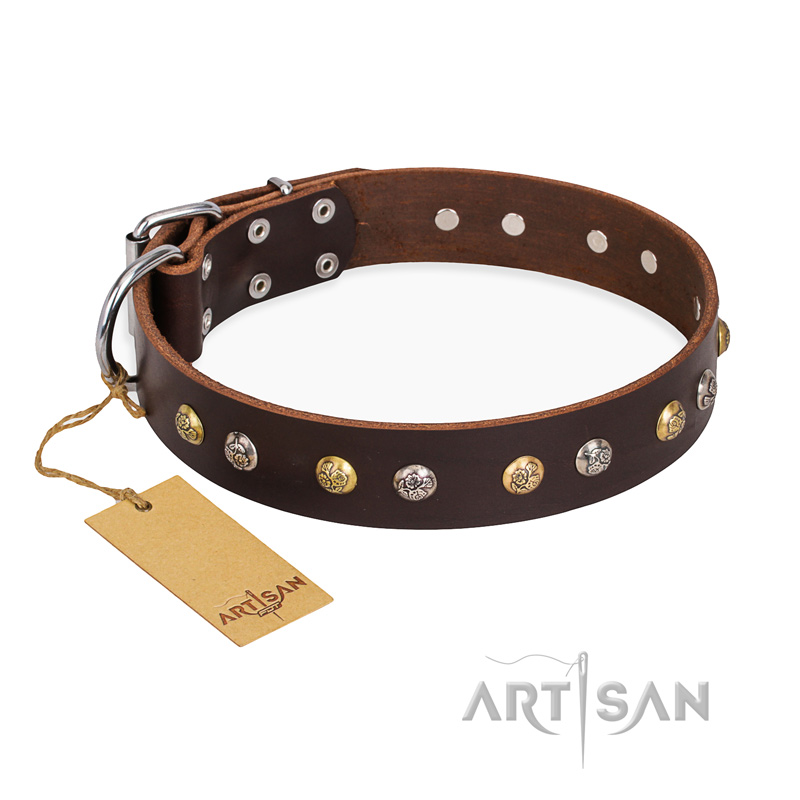 "Rare Flower" FDT Artisan Brown Leather Pitbull Collar Adorned with Old-look Hemisphere Studs