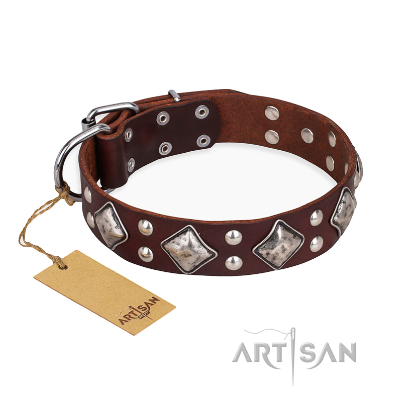"King of Grace" FDT Artisan Stylish Leather Pitbull Collar with Old Silver-Like Plated Decorations