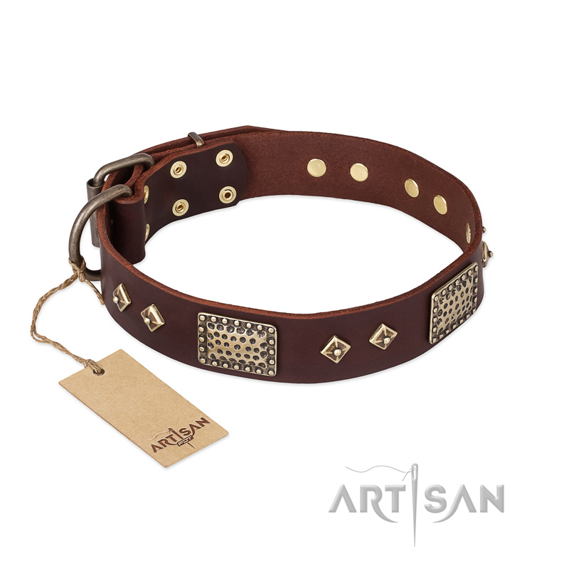 "Loving Owner" FDT Artisan Decorated Leather Pitbull Collar with Plates and Studs