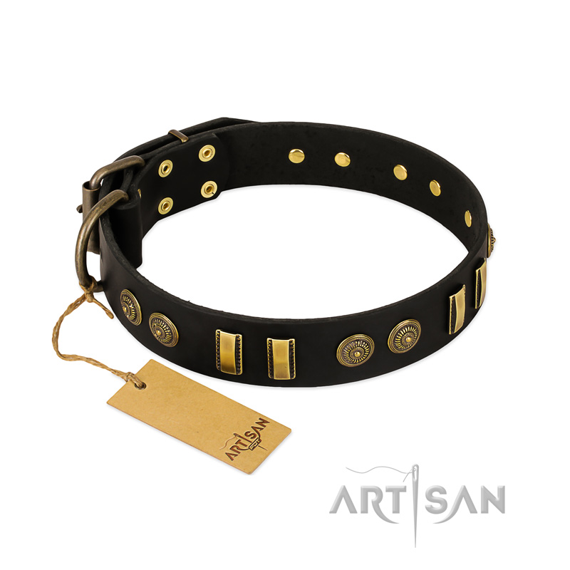 "Simple Elegance" FDT Artisan Black Leather Pitbull Collar with Old Bronze-like Plates and Circles