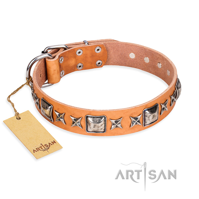 "Glamour Finery" FDT Artisan Female Pitbull collar of natural leather with stylish old-looking circles