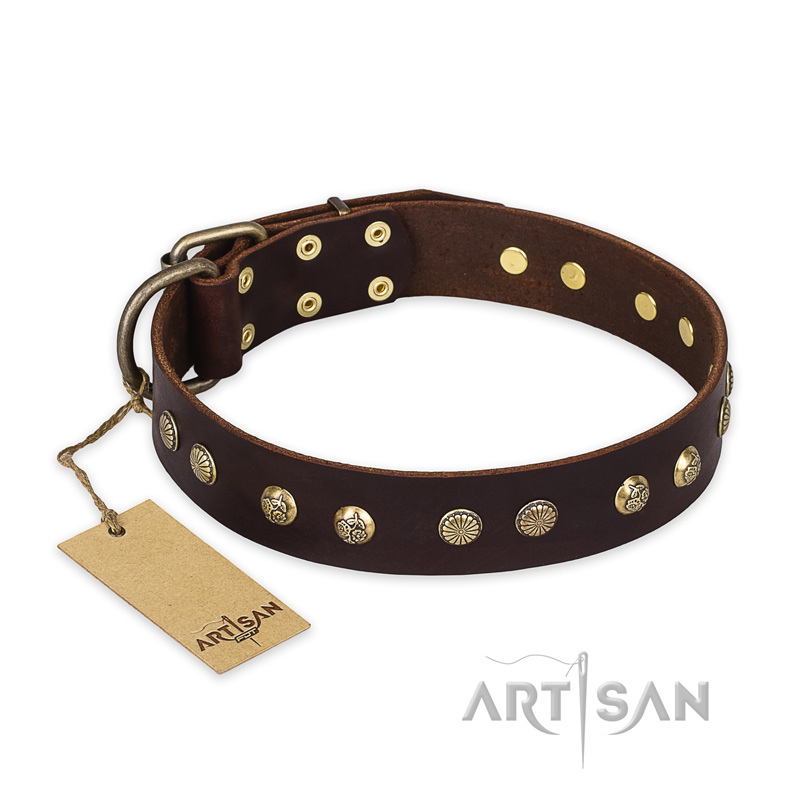 "Bronze Sheen" FDT Artisan Leather Pitbull Collar with Brass-Plated Studs - Click Image to Close