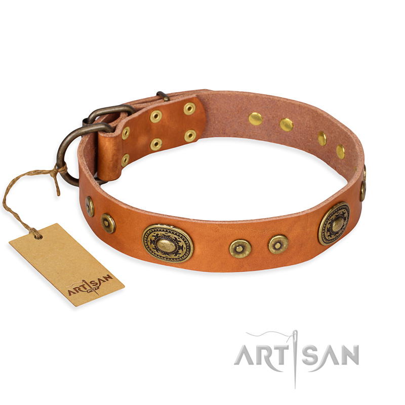 "Dandy Pet" FDT Artisan Handcrafted Tan Leather Pitbull Collar