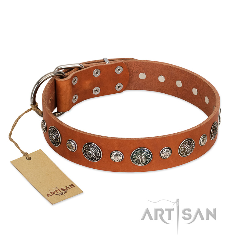 "Natural Beauty" FDT Artisan Tan Leather Pitbull Collar with Shining Silver-like Studs
