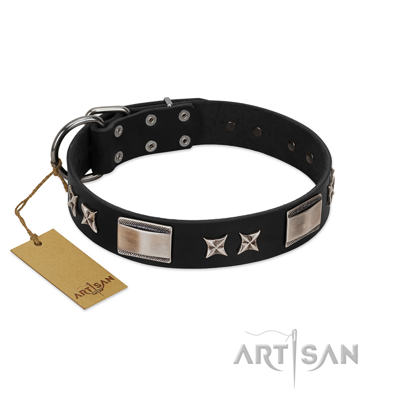 "Pitch Dark" FDT Artisan Black Leather Pitbull Collar with Stars and Plates