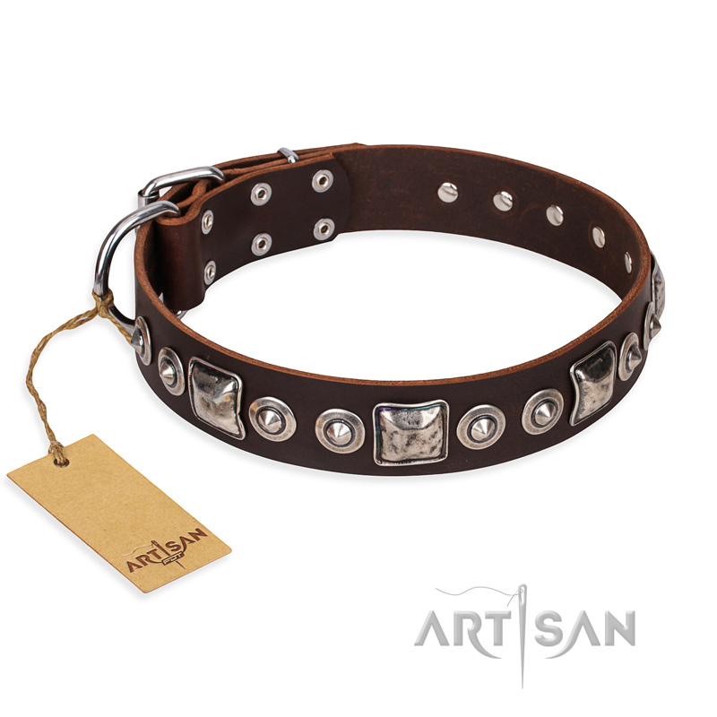 "Pierian spring" FDT Artisan Brown Leather Pitbull Collar with Silvery Decorations