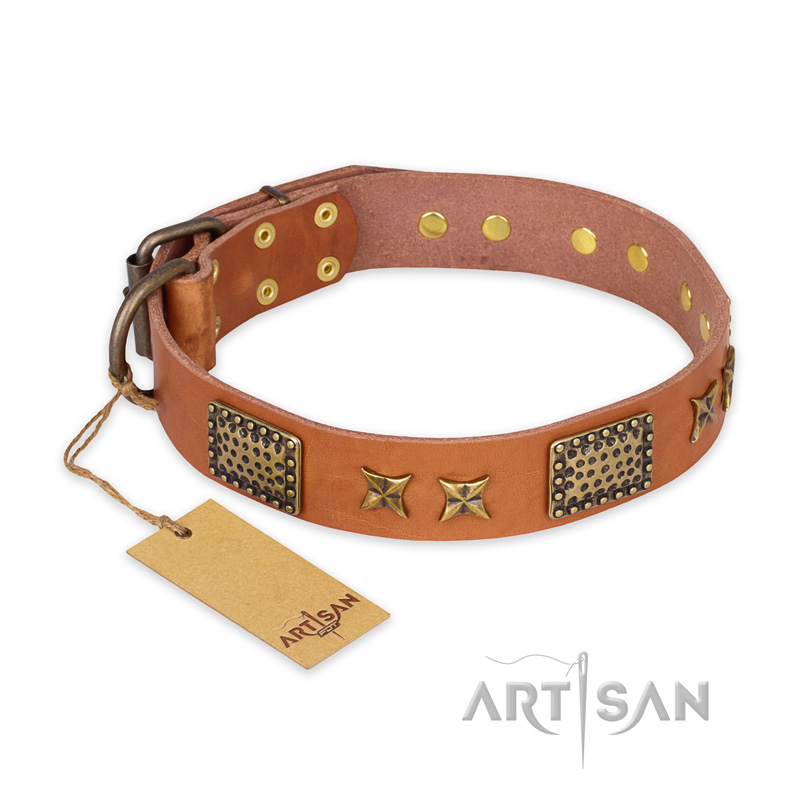 "Cosmic Traveller" FDT Artisan Adorned Leather Pitbull Collar with Old Bronze-Plated Stars and Plates
