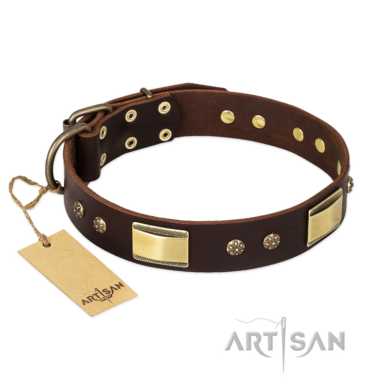 "Rich Fashion" FDT Artisan Decorated Leather Pitbull Collar with Plates and Studs