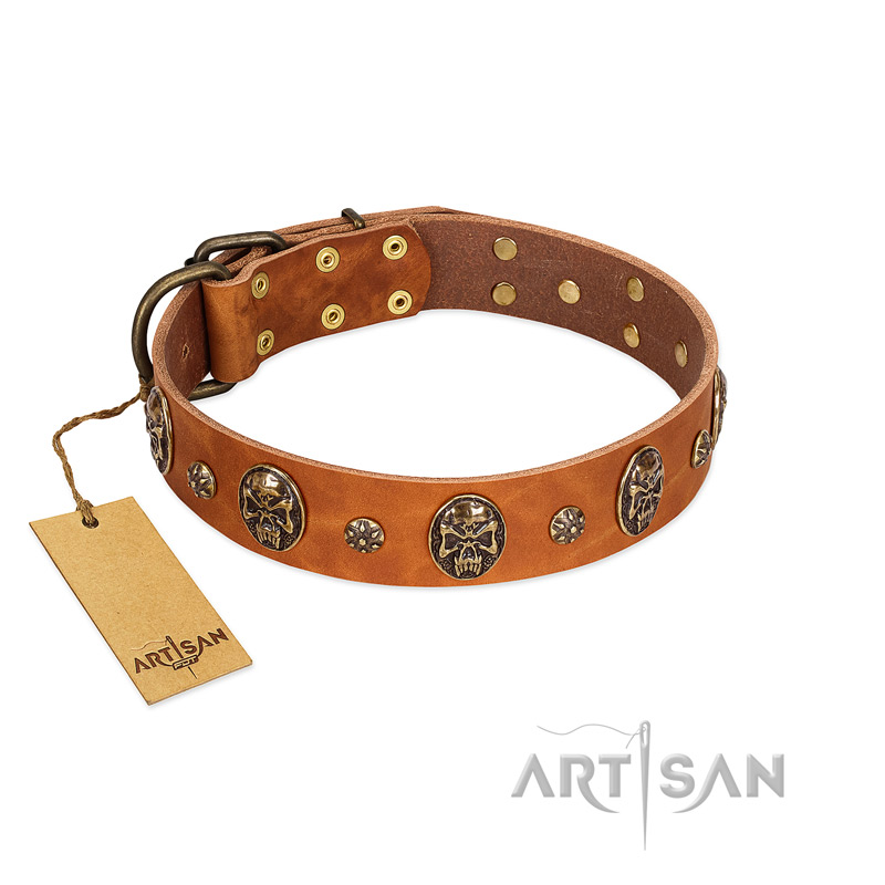 "Rockstar" FDT Artisan Tan Leather Pitbull Collar with Engraved Studs and Medallions